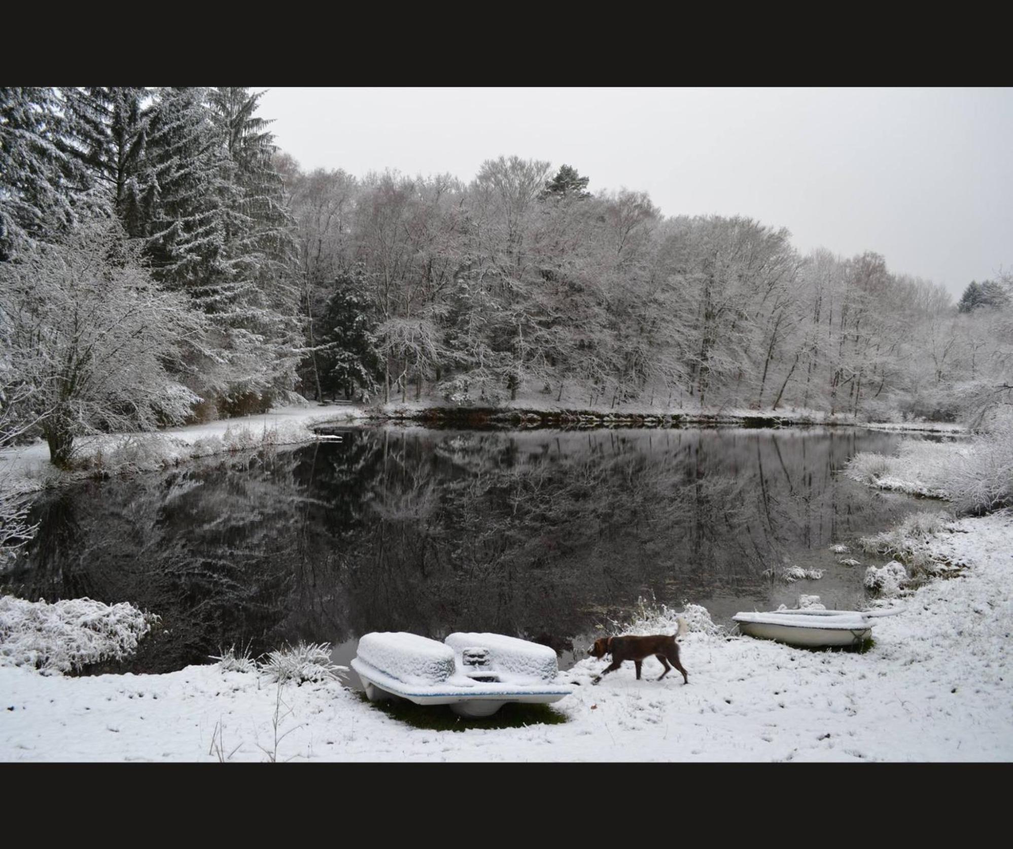 Cabane Limousine Au Bord D'Un Etang Bonnac-la-Cote Exterior photo