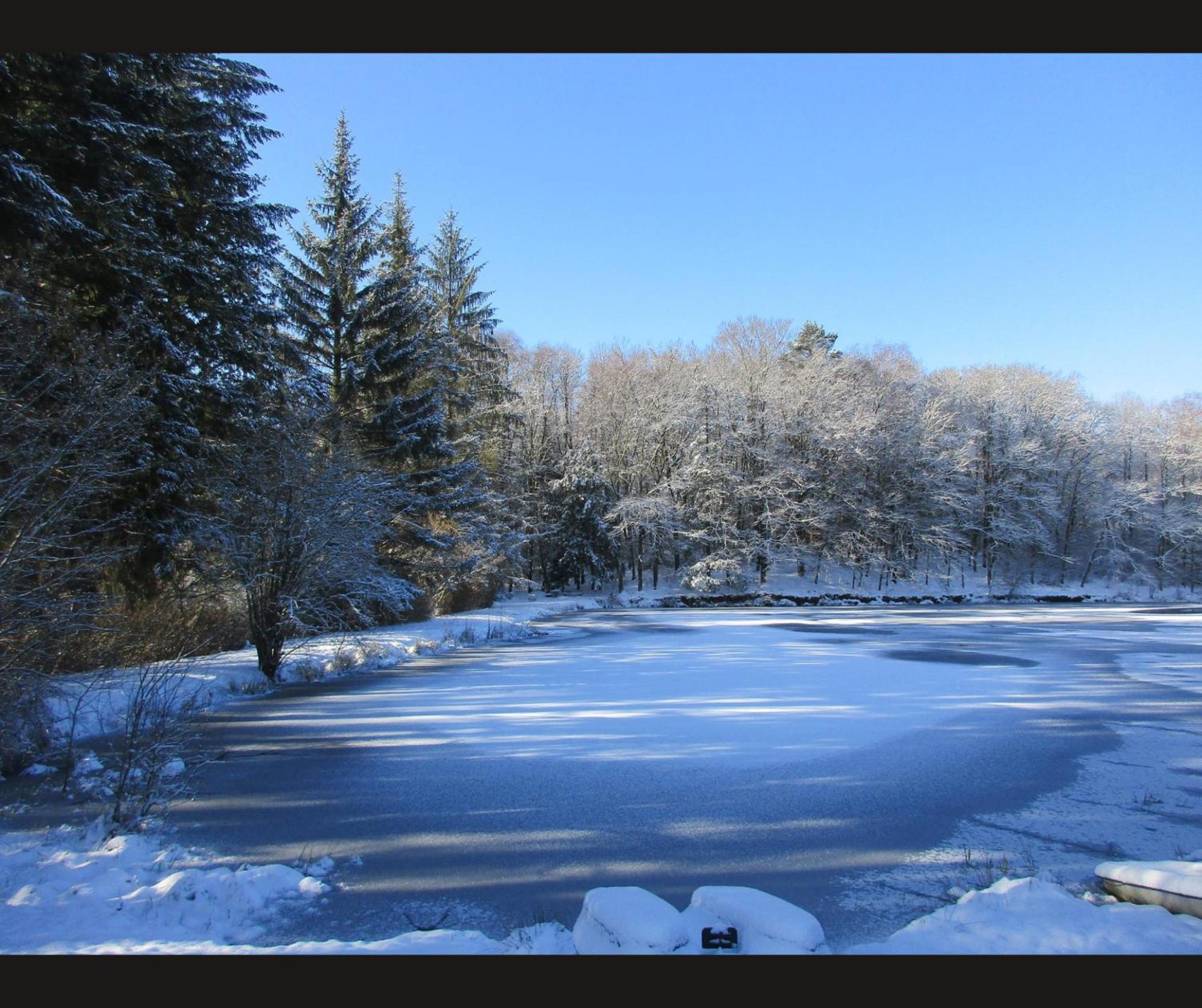 Cabane Limousine Au Bord D'Un Etang Bonnac-la-Cote Exterior photo